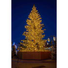 Blachere - Décor SAPIN NORDIKA NATUREL 5M- 2928 leds en blanc chaud  3D à poser au sol