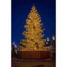 Blachere - Décor SAPIN NORDIKA NATUREL 5M- 2928 leds en blanc chaud  3D à poser au sol