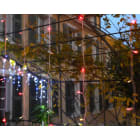 Blachere - RIDEAU FLICKER® 96 LED Rouge&Flash - 24V - 2mx2m - 66 LED rouge+30 flash blc chd