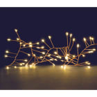 Blachere - GUIRLANDE MICRO LED GRAPPE - 5m