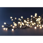 Blachere - Guirlande CHERRYLIGHT® 400 LED Blanc chaud - 24V - L:9m - câble vert