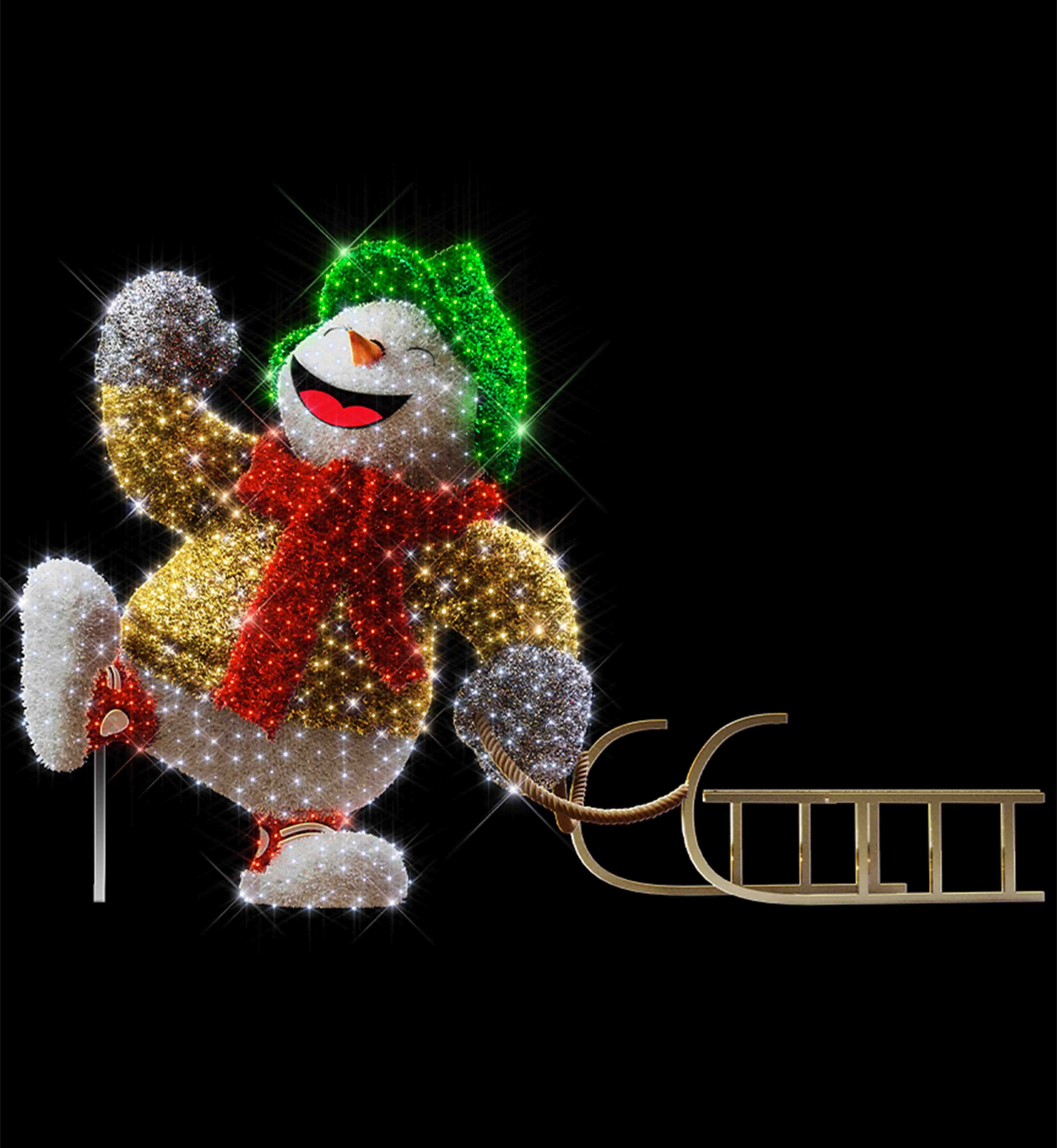 Blachere - Décor MAX  BONHOMME DE NEIGE LUGE BLANC PUR LED 3D