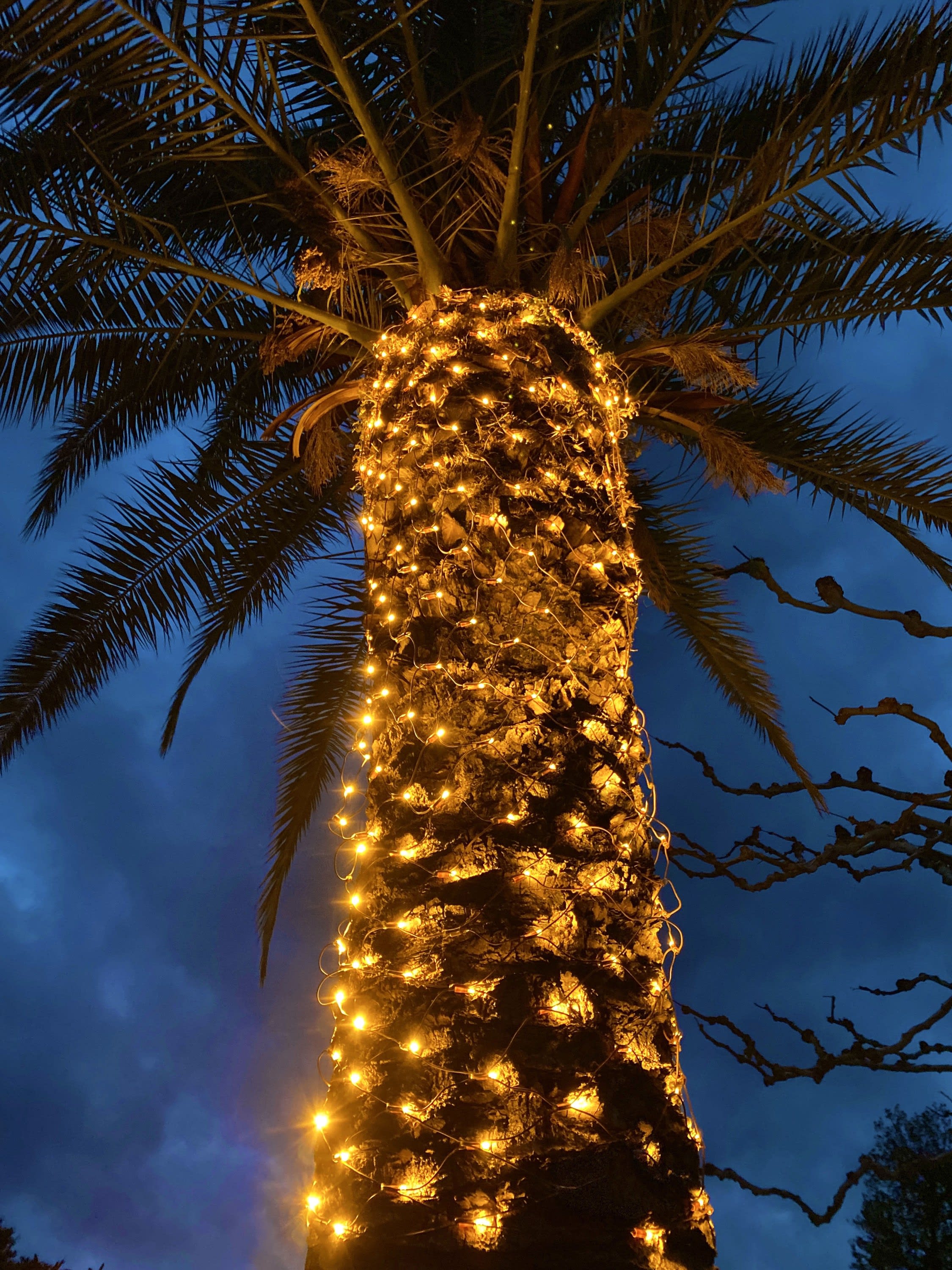 Blachere - Filet Honeycomb light® - 2mx3m 306 led blanc chaud + 78 slowflash blanc chaud