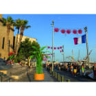 Blachere - Décor BOUQUET3 BOUQUET VERT BIOPRINT LED à poser au sol