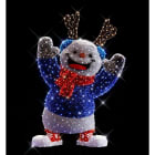 Blachere - Décor RAYMOND BONHOMME DE NEIGE BLANC CHAUD LED 3D