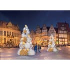 Blachere - Décor BUBBLE SAPIN BOULE BLANC CHAUD LED 3D