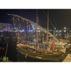 Blachere - Guirlande LED Blanc-230V-10m-câble Blanc 100 led blanc pur-fixe-câble caou blanc