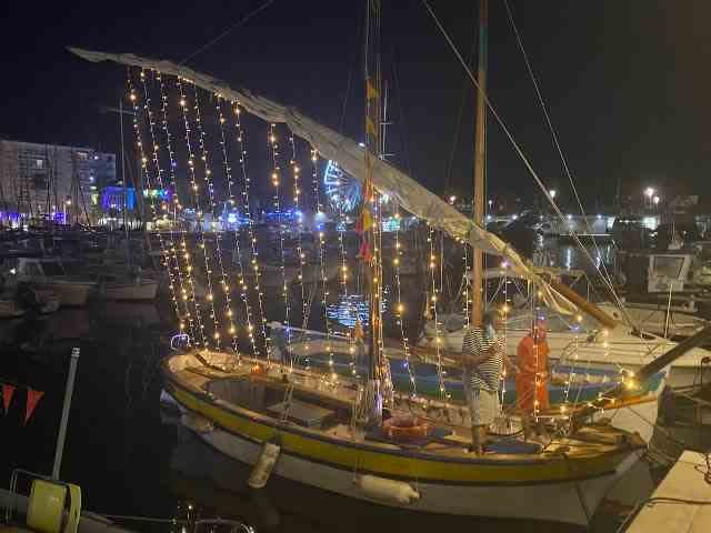 Blachere - Guirlande LED Blanc&Flash-10m-câble Blc 90 led blanc pur + 10 flash blanc pur