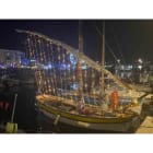 Blachere - Guirlande LED Blanc&Flash-10m-câble Blc 90 led blanc pur + 10 flash blanc pur