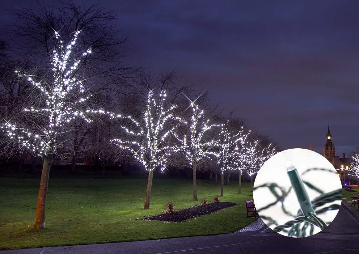 Blachere - Guirlande LED Blc&Flash-24V-20m-câb vert 90 led blanc pur + 30 flash blanc pur