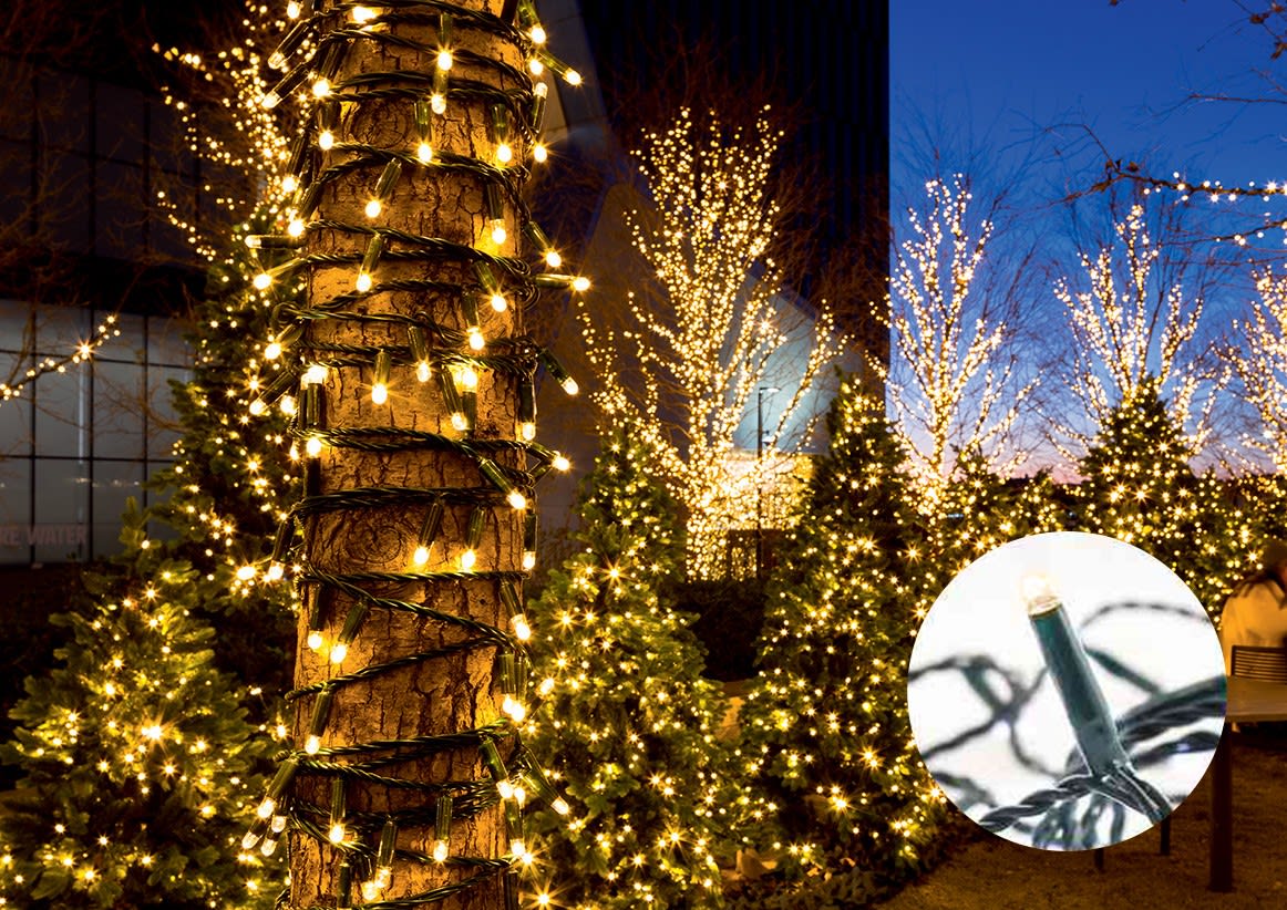 Blachere - Guirlande LED Bl C&Flash-24V-20m-câb ver 90 led blanc chaud + 30 flash blanc pur