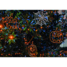 Blachere - Décor suspension HALLO1 SUSPENSION 2D CITROUILLE ORANGE BIOPRINT