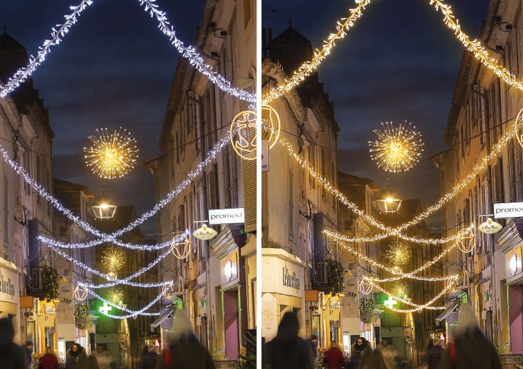 Blachere - Décor Tresses Duo Colors® -7.50m-230V 192 led blanc chaud/192 blanc + 48 blanc