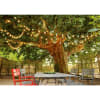 Vignette Photo produit ambiance 2