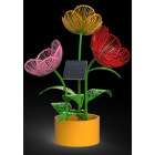 Blachere - BOUQUET4 SOLAIRE à poser au sol