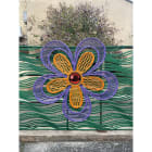 Blachere - POP BICOLOR 2