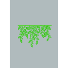 Blachere - traversée print PLANT LINE