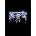 Blachere - PLANT LINE XMAS