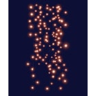 Blachere - RIDEAUX MICRO LED GRAPPE - 2m x 2m