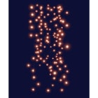 Blachere - RIDEAUX MICRO LED GRAPPE - 2m x 2m