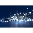 Blachere - GLD LED GRAPPE - 8m