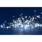 Blachere - GLD LED GRAPPE - 8m