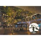 Blachere - 80 led blanc chaud flash -câble caoutchouc vert-usage extérieur-l'unité