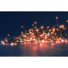 Blachere - Guirlande à grappe - 600 LED cuivre - 8m - 8 fonctions mémoire
