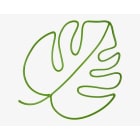 Blachere - MOTIF FEUILLE 2D - 60cm x 48cm