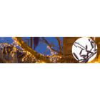 Blachere - Branches déco blanc pur 1,8m-24V 161 led blanc pur par branche