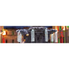 Blachere - Branche blanc chaud anime-24V