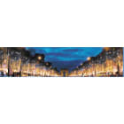 Blachere - Rideau lumineux défilant - 2mx7m- 500 led - animation pré programmée