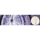 Blachere - Rideau JOYLIGHT® led + flash-24V-2mx3m 300 led bleues + 60 flash led blanc pur