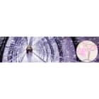 Blachere - Rideau JOYLIGHT® led + flash-24V-2mx3m 300 led roses + 60 flash led blanc pur