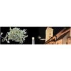 Blachere - JOYLIGHT led-230V-2m x 7m
