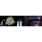 Blachere - 210 leds blanc pur (led 100% officielles)