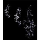 Blachere - STALACTIT LIGHTBRINS-230V-2,8m