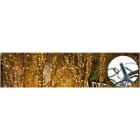 Blachere - Guirlande SPARK LIGHT® led+Flash-24V-20m 168 led bleues fixe + 28 led flash