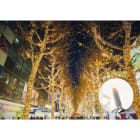 Blachere - Guirlande SPARK LIGHT®led+ -230V-20m 160 led blanc chaud-fixe