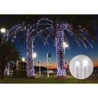 Blachere - Rideau JOYLIGHT® led+ et flash-230V-2x3m 240 led blanc pur et 120 slow flash