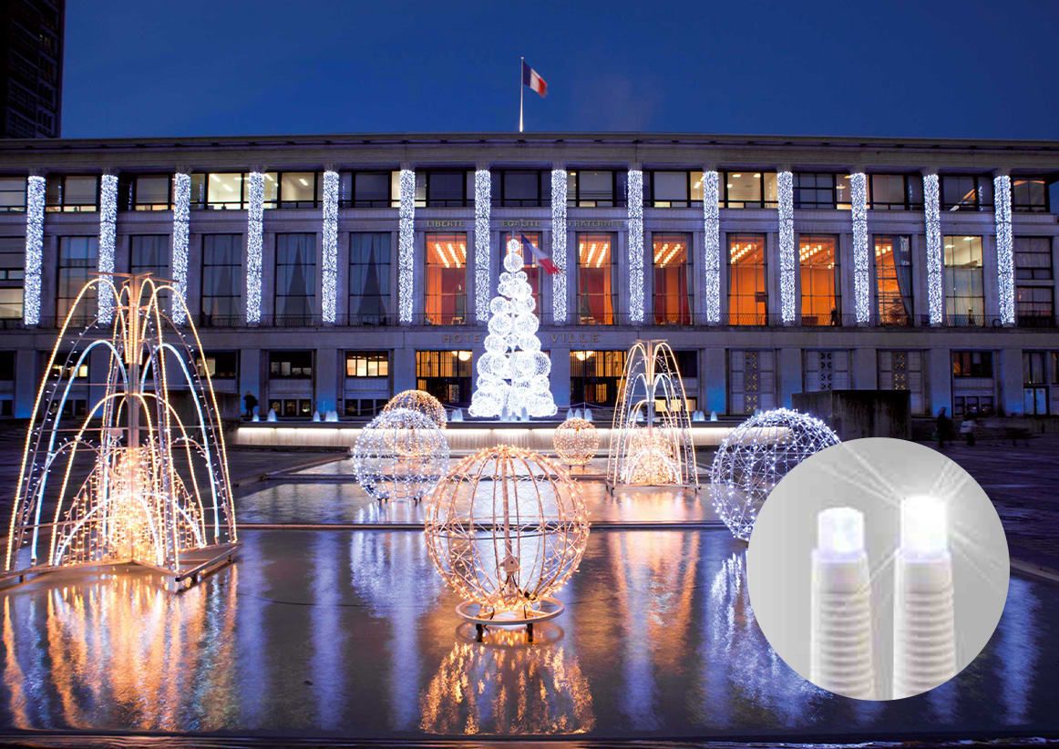 Blachere - Rideau led+ et flash-230V-2x5m 360 led blanc pur et 180 slow flash