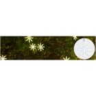 Blachere - Eclats scintillants x-led®-2x3m-24V 250 led blanc chaud-10 éclats ø25cm animés