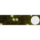 Blachere - Eclat scintillants x-led® unité-24V 1 éclat ø25cm animé blanc pur & blanc chaud