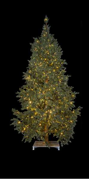 Blachere - SAPIN NORDIKA NATUREL 5M