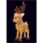 Blachere - CUTE RENNOO