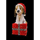 Blachere - DOGGY