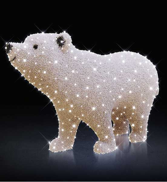 Blachere - DADDY BEAR