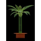 Blachere - ARBRE BI-SAISON FEUILLE