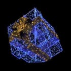 Blachere - Cadeau incline bleu