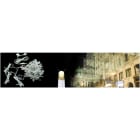 Blachere - Rideau lumineux led-230V-2x1,5m 160 led blanc chaud-fixe